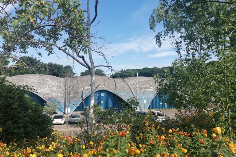 Expressions in Concrete