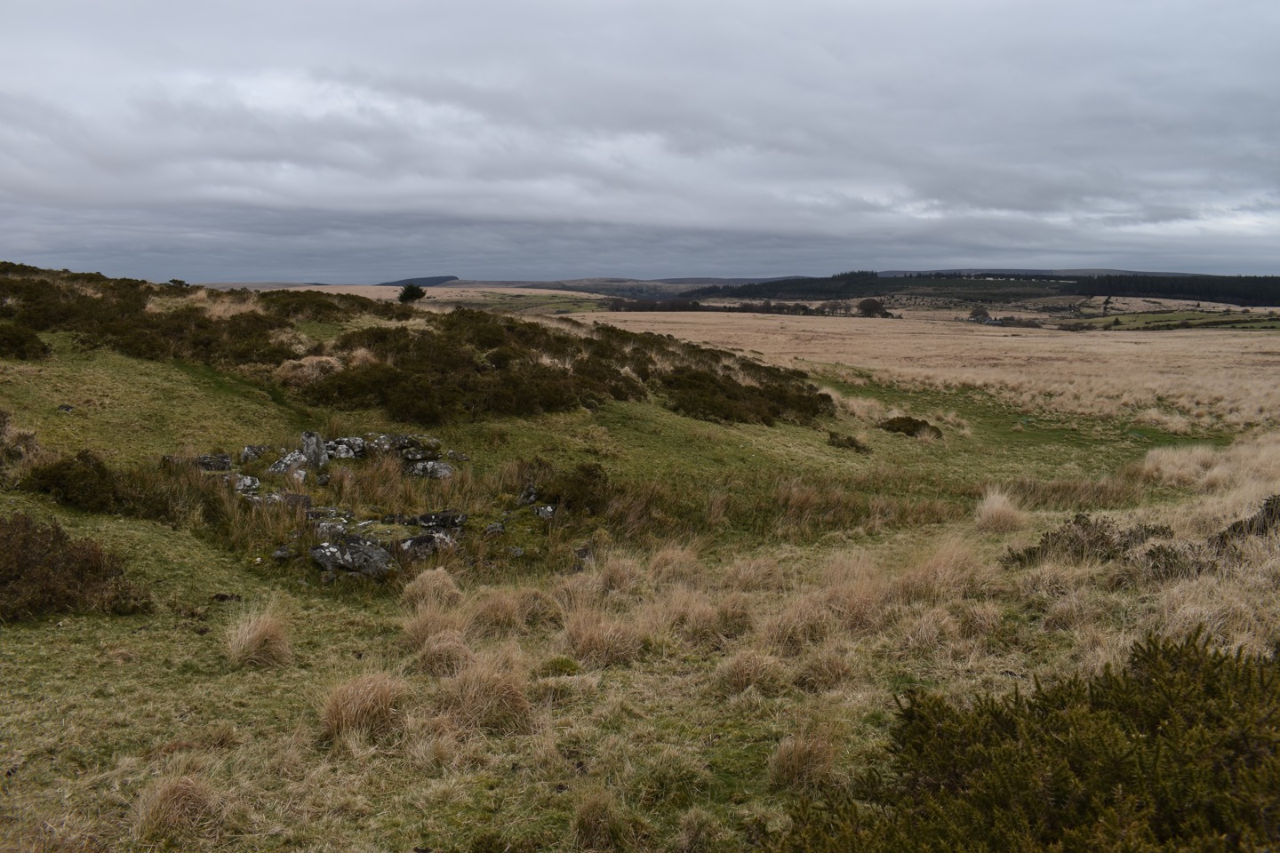 Dartmoor: Understanding and Protecting a Landscape of Exceptional Heritage