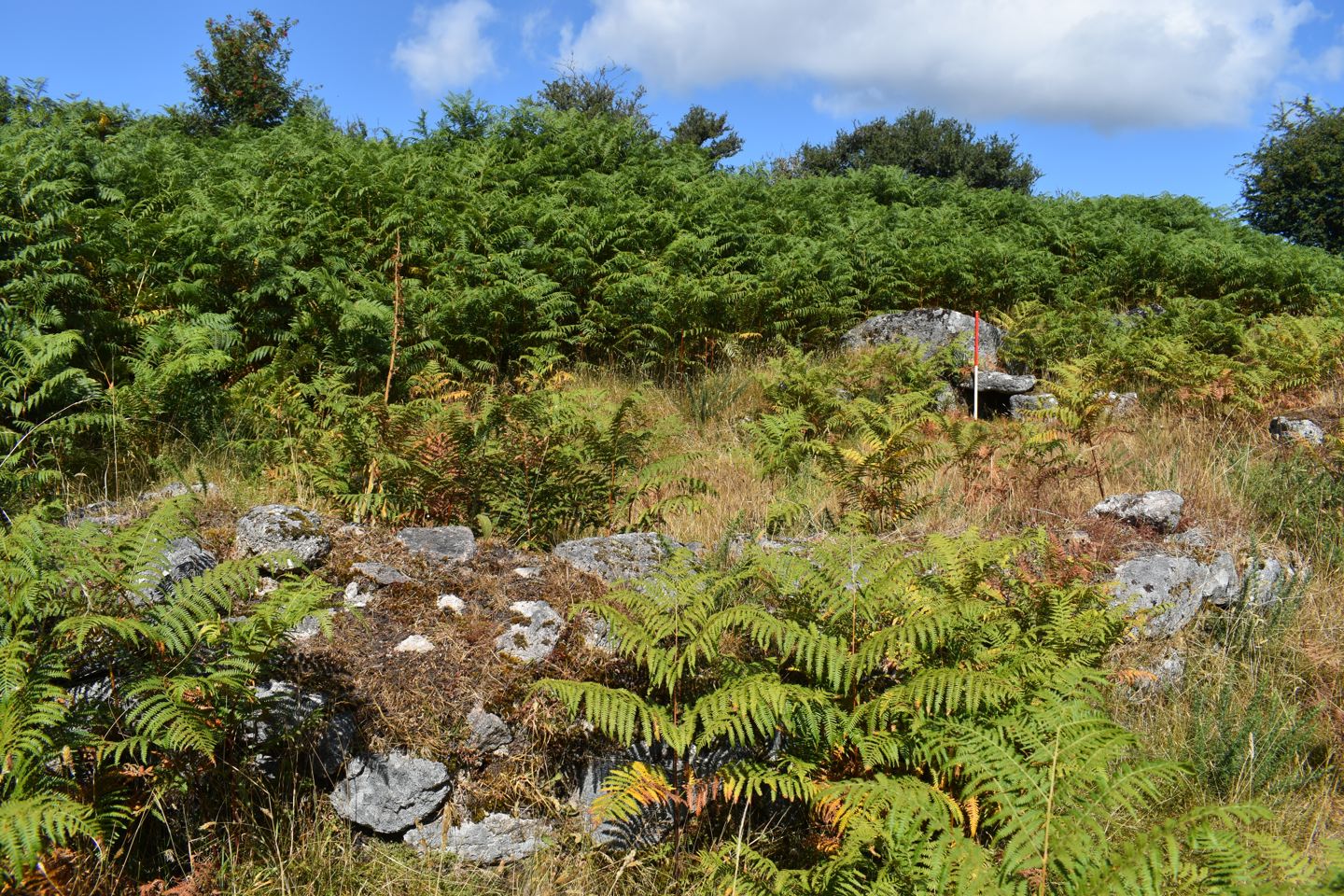 Securing inheritance Tax relief through heritage management
